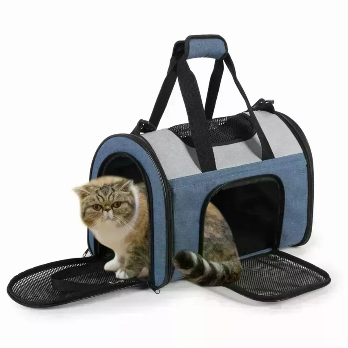 JESPET Soft-Sided Pet Carrier for Small Dogs and Cats