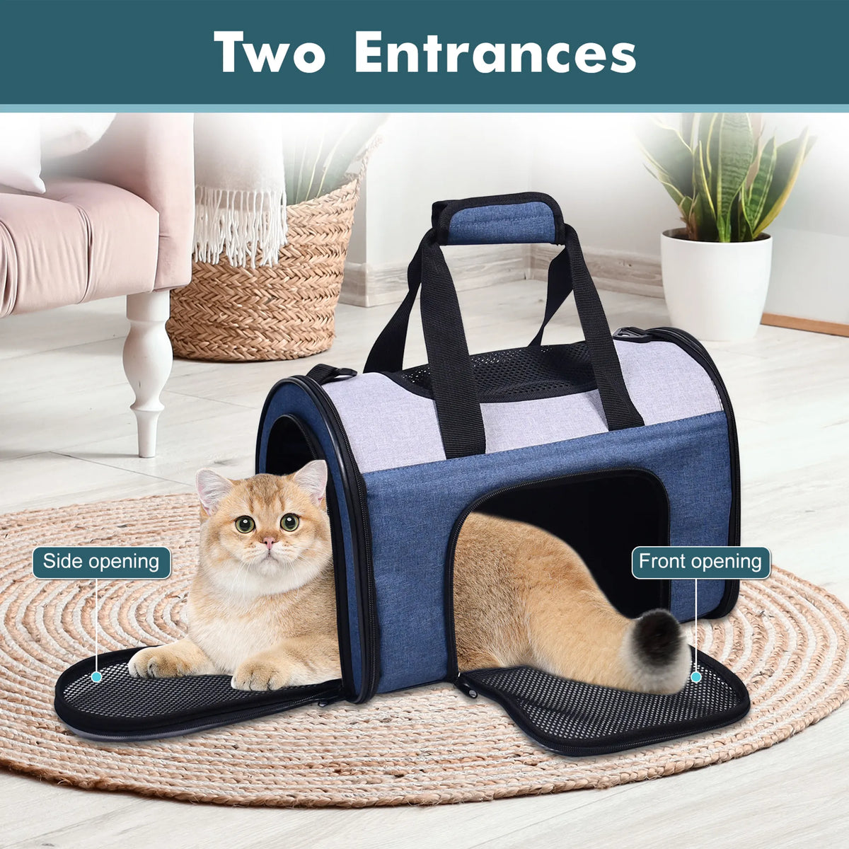 JESPET Soft-Sided Pet Carrier for Small Dogs and Cats