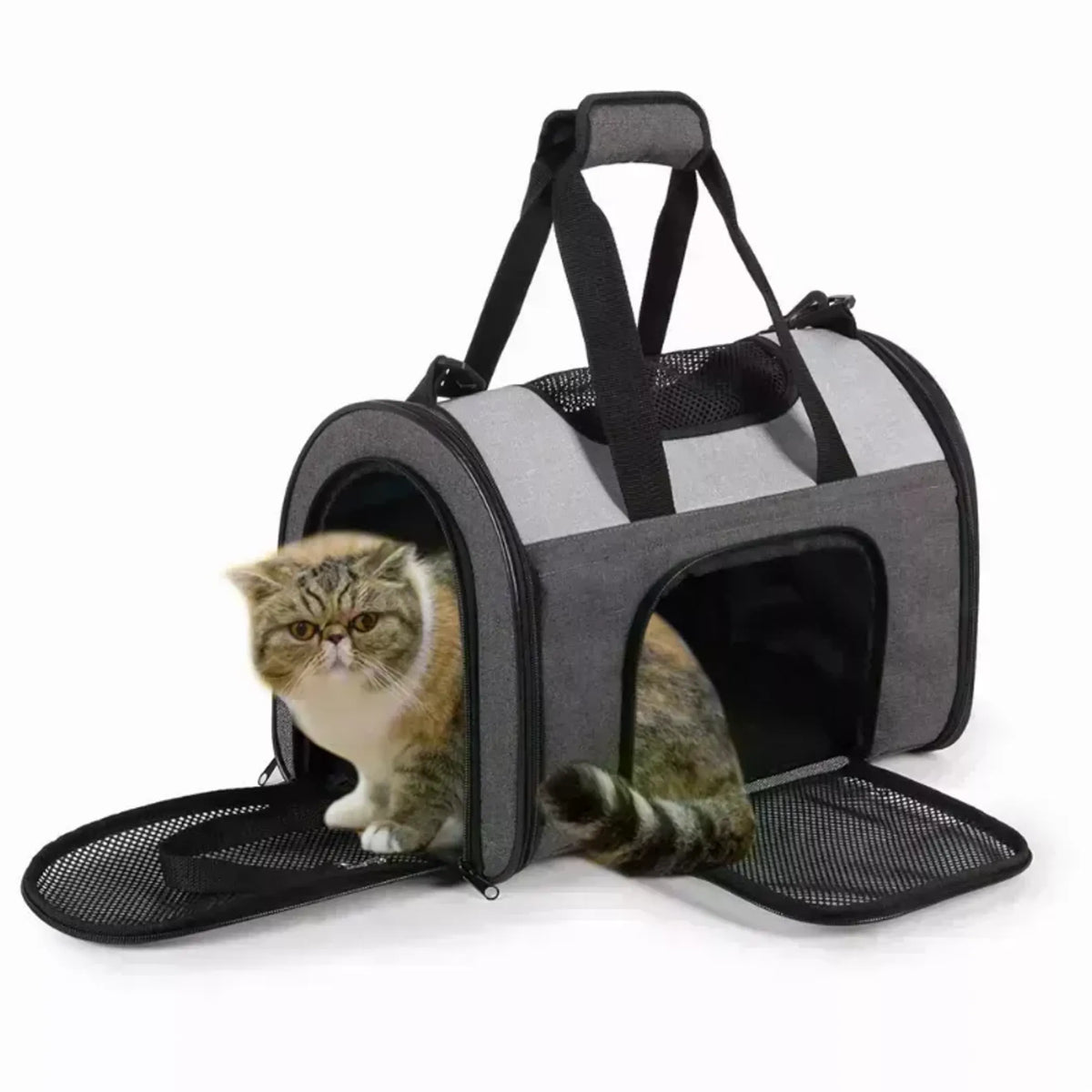 JESPET Soft-Sided Pet Carrier for Small Dogs and Cats