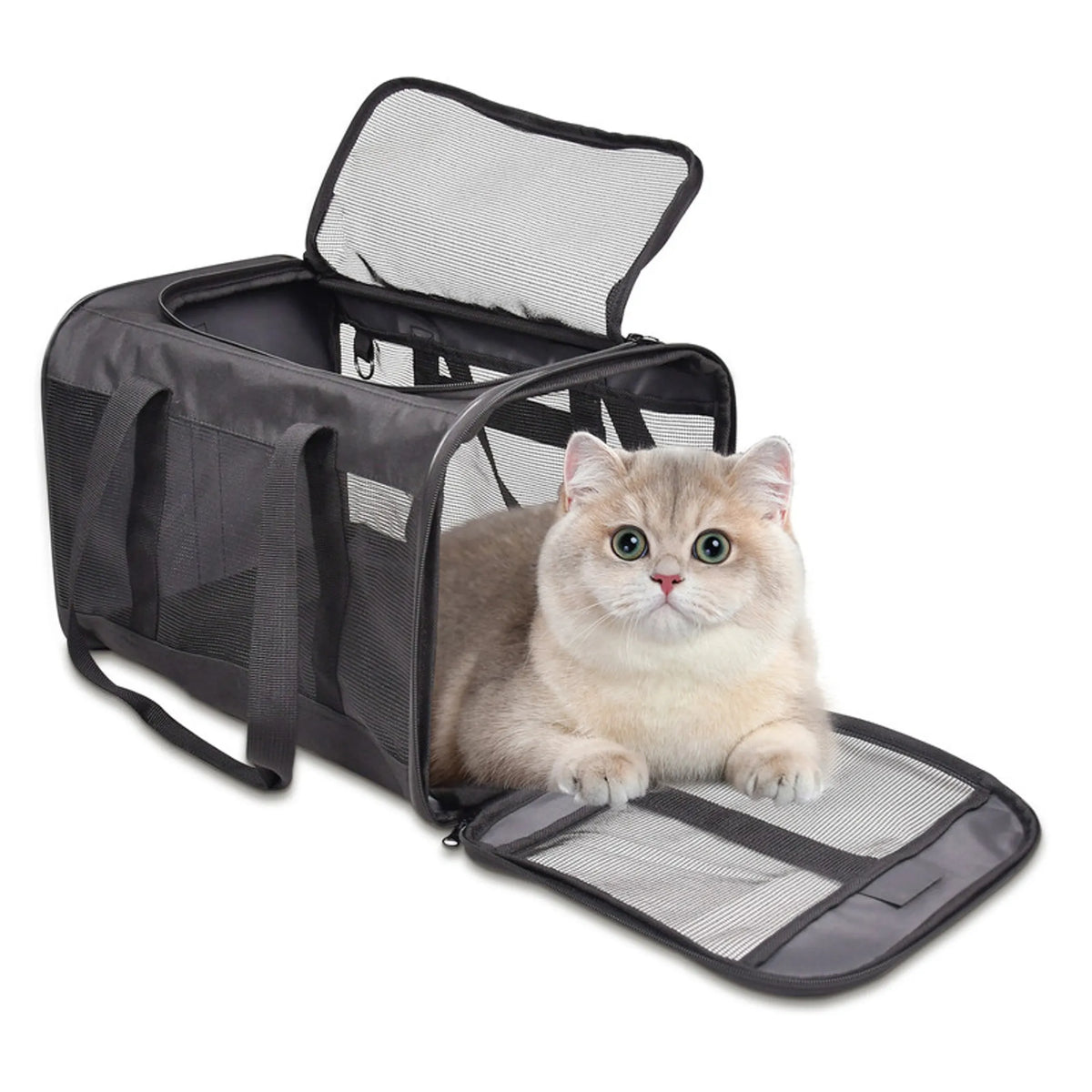 GOOPAWS Soft-Sided Cat Carrier, 17 Inch