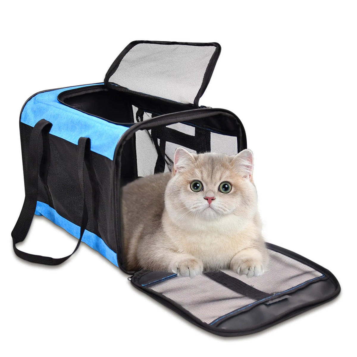 GOOPAWS Soft-Sided Cat Carrier, 17 Inch