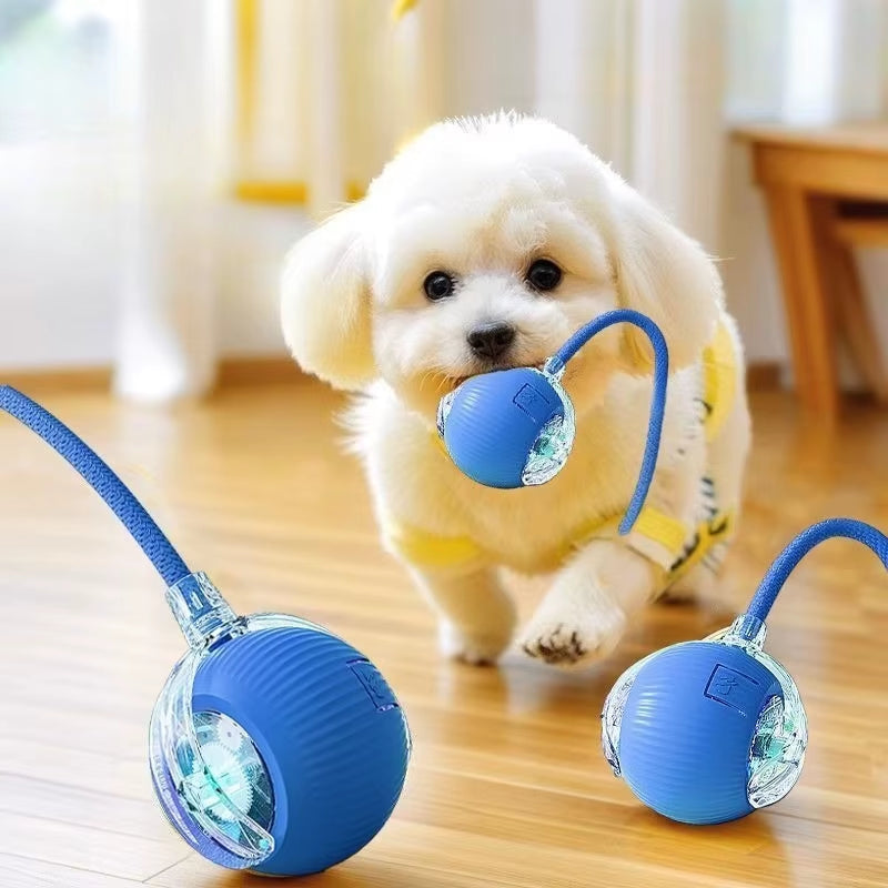 Interactive All 4s Paws cat rolling ball toy with colorful design for engaging feline play and entertainment.