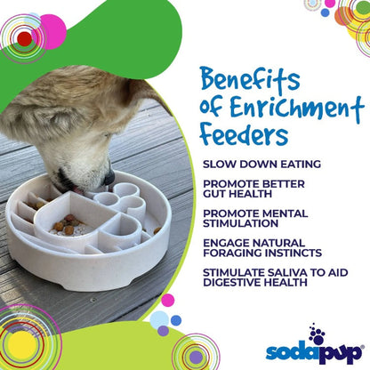 SodaPup Java Slow Feeder Dog Bowl