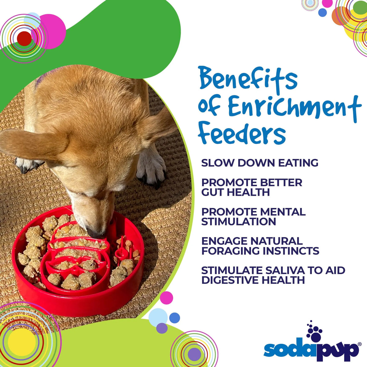 SodaPup Santa Christmas Slow Feeder Dog Bowl