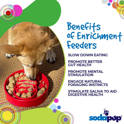 SodaPup Santa Christmas Slow Feeder Dog Bowl