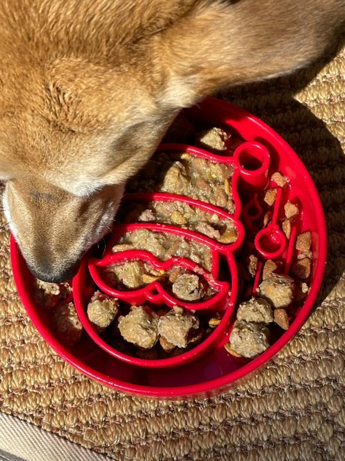 SodaPup Santa Christmas Slow Feeder Dog Bowl