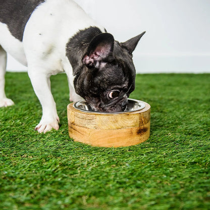 GF Pet Mango Wood Bowl with Stainless Steel Insert